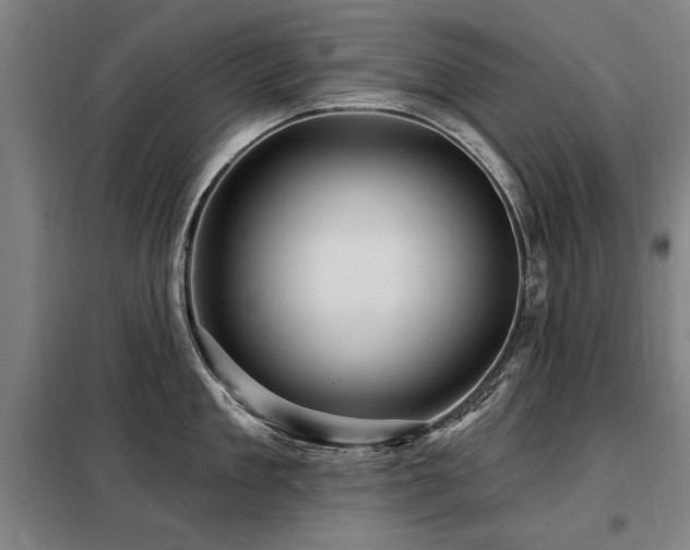 X0000098070909200804041122