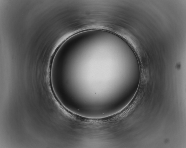 X0000098070910200804041122