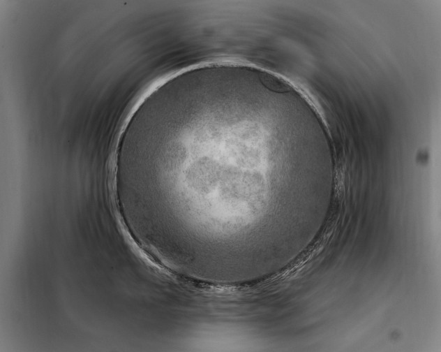 X0000098070911200804041122