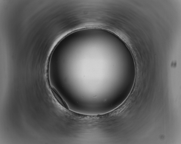 X0000098070912200804041122