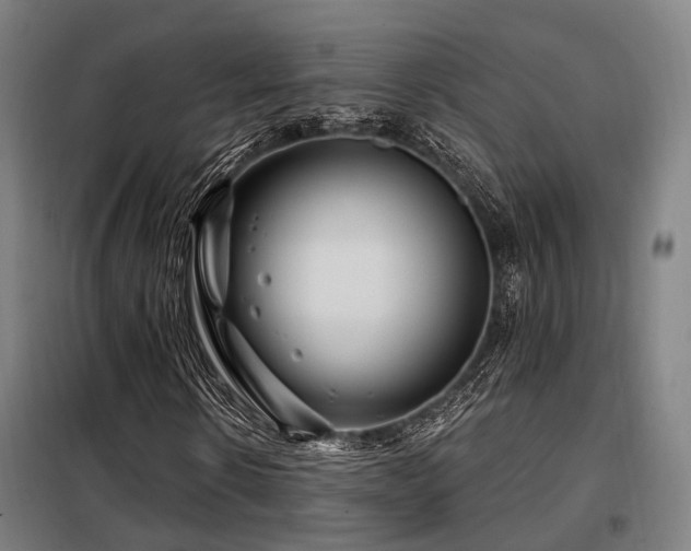 X0000098070914200804041121