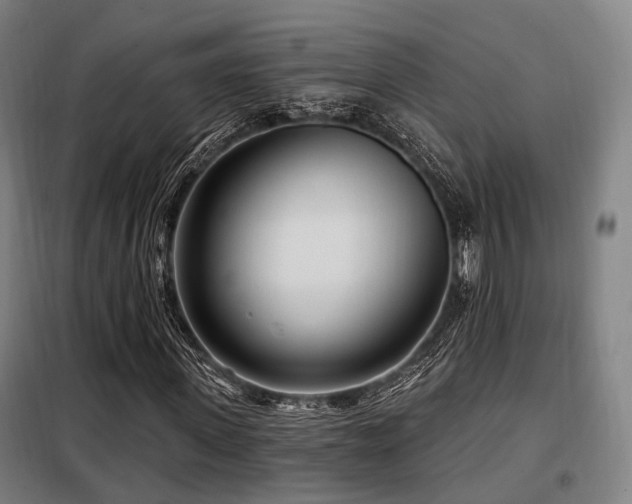 X0000098070915200804041121