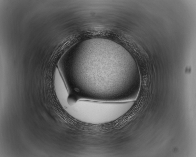 X0000098070916200804041121