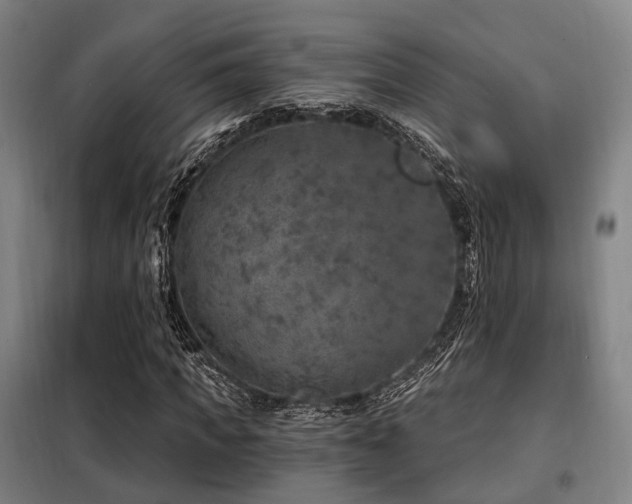 X0000098070917200804041121