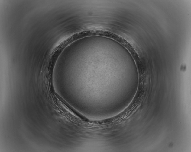 X0000098070919200804041121