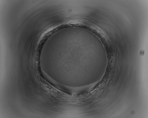 X0000098070920200804041121