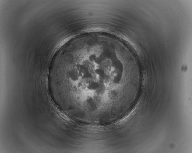 X0000098070921200804041121