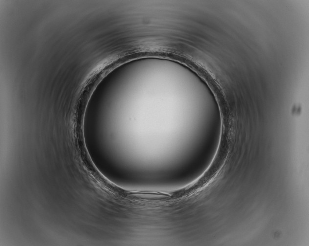 X0000098070922200804041121