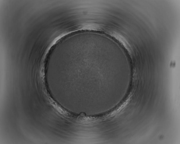 X0000098070923200804041121