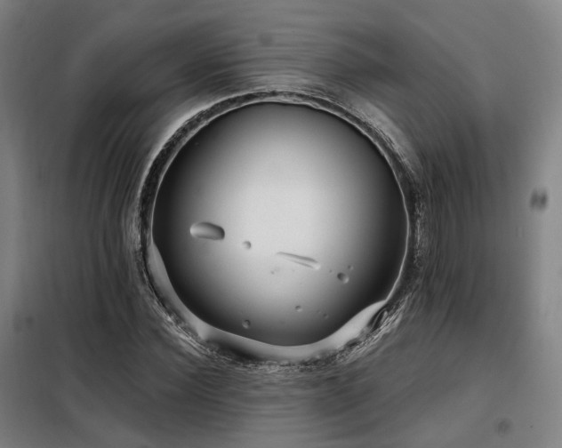 X0000098070924200804041121