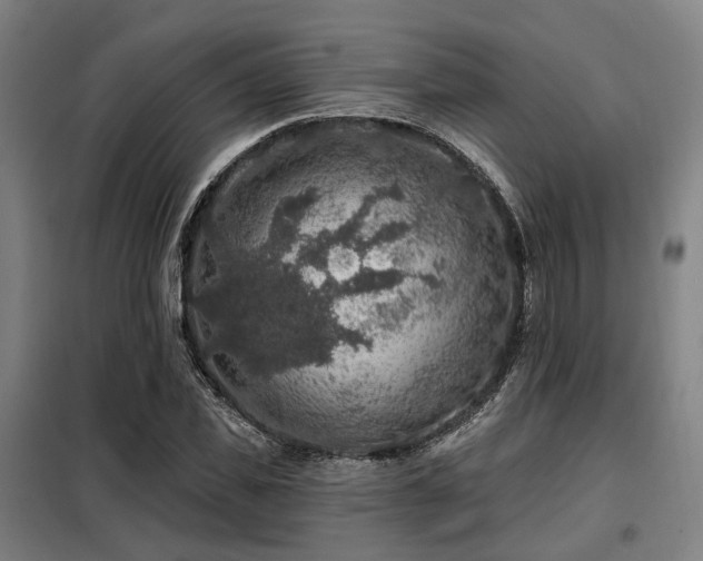 X0000098070925200804041121