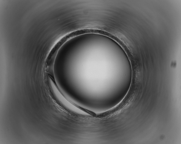 X0000098070926200804041121