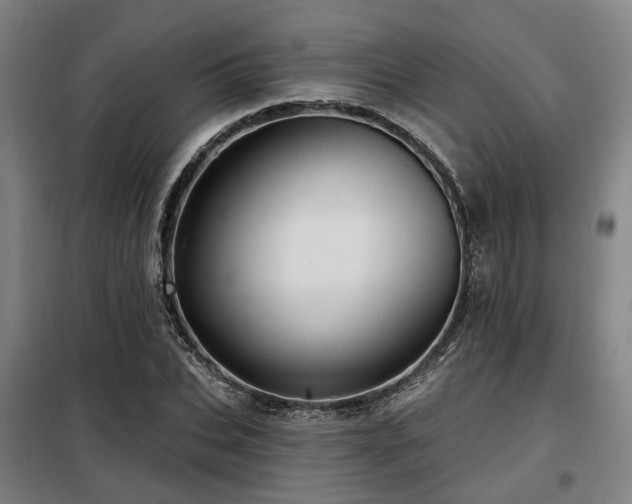 X0000098070927200804041121