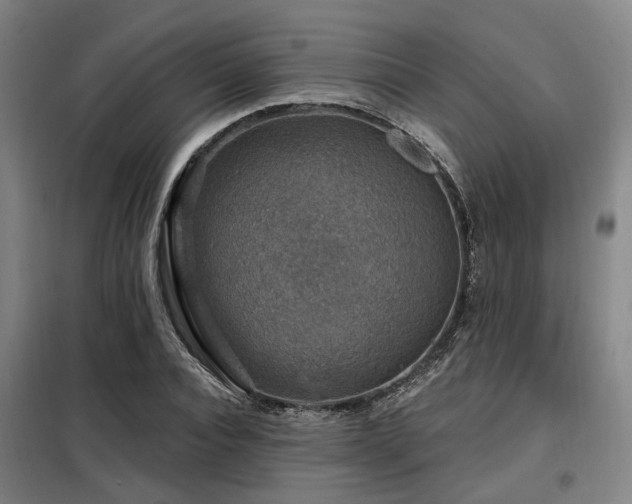 X0000098070928200804041121