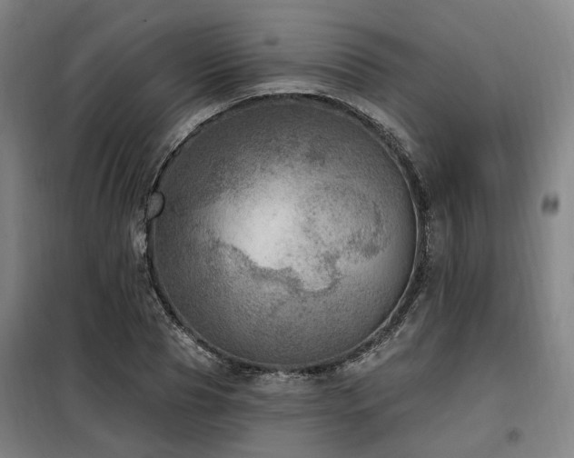 X0000098070929200804041121