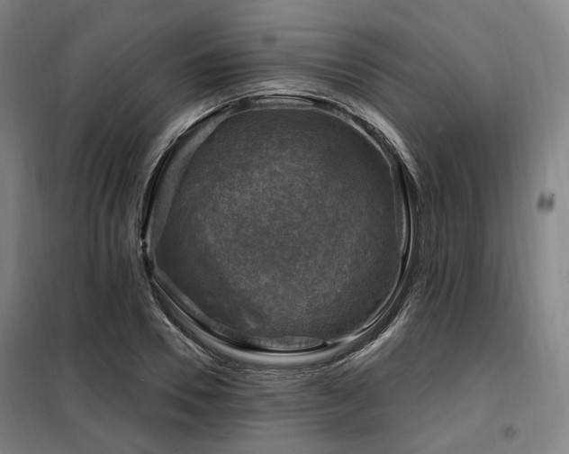 X0000098070930200804041121