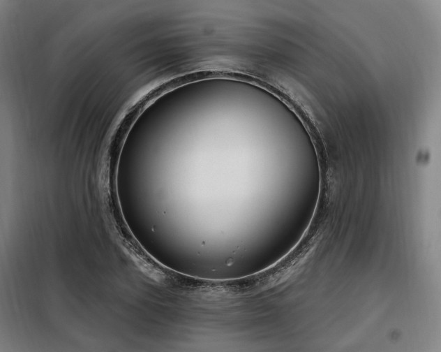 X0000098070931200804041121