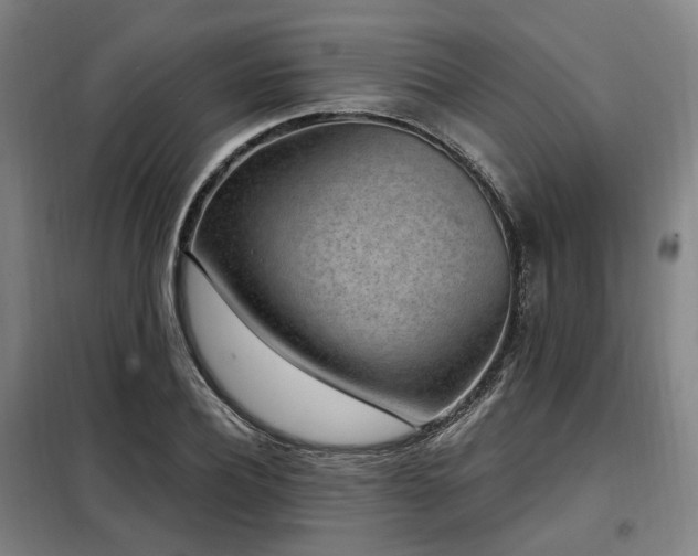 X0000098070932200804041121