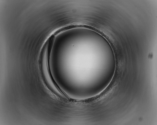 X0000098070934200804041121