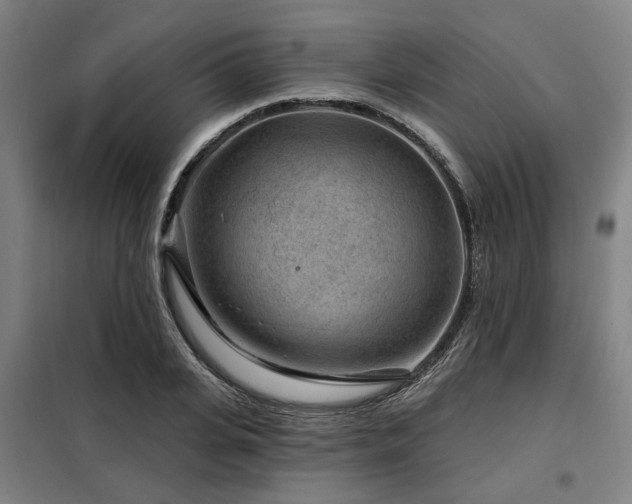 X0000098070935200804041121