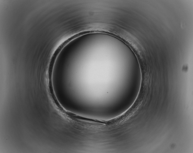 X0000098070936200804041121