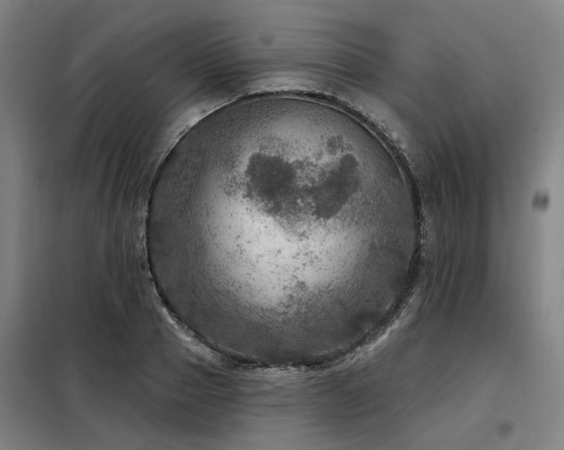 X0000098070937200804041121