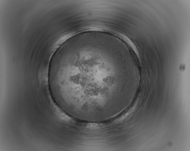 X0000098070938200804041121