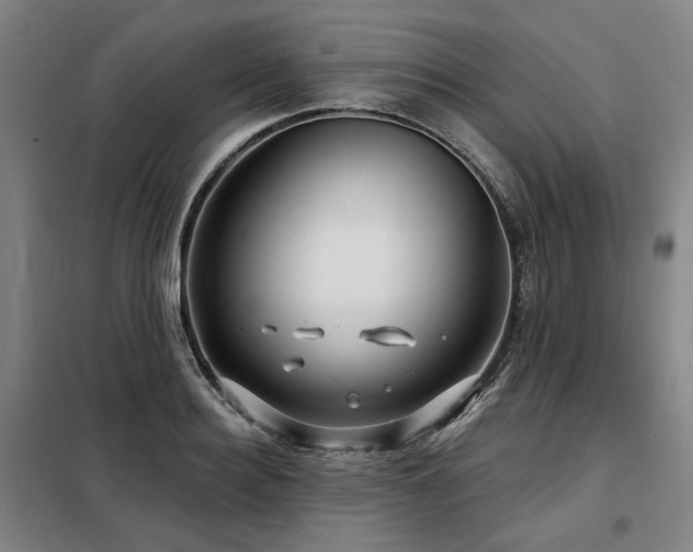 X0000098070940200804041122