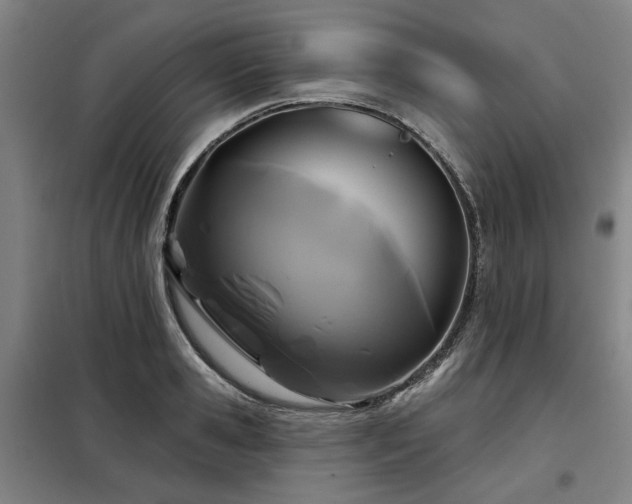 X0000098070941200804041122