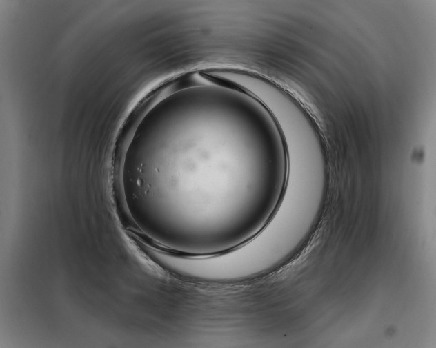 X0000098070942200804041122