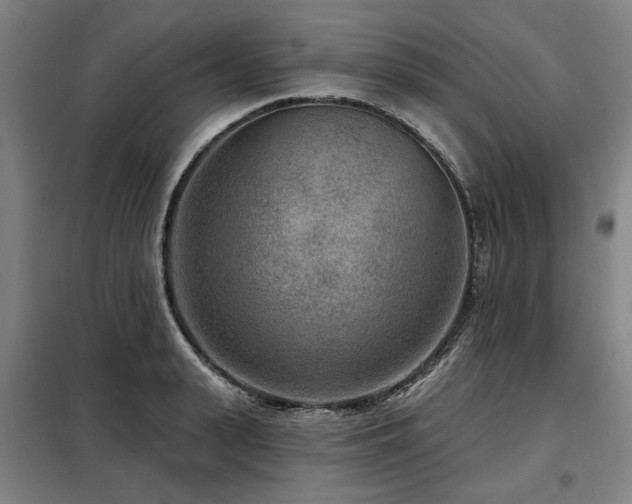 X0000098070943200804041122