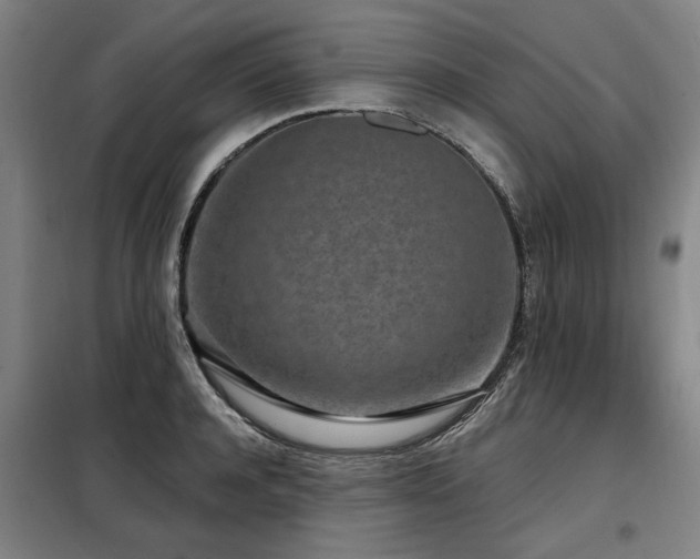 X0000098070944200804041122