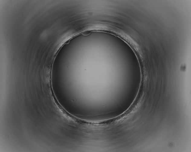 X0000098070945200804041122