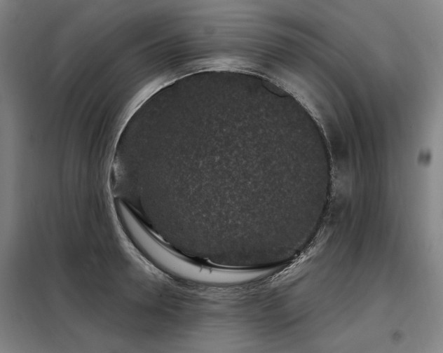 X0000098070946200804041122