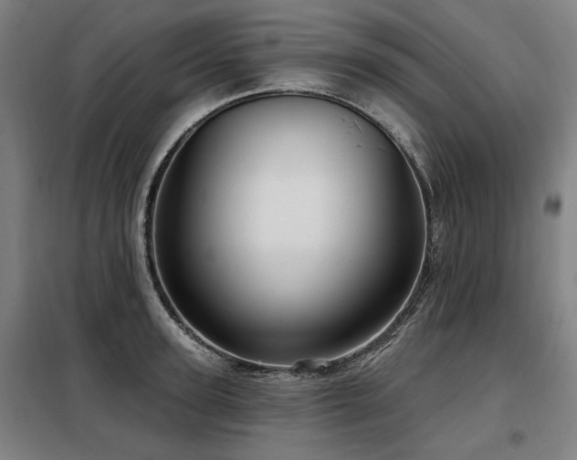 X0000098070947200804041122