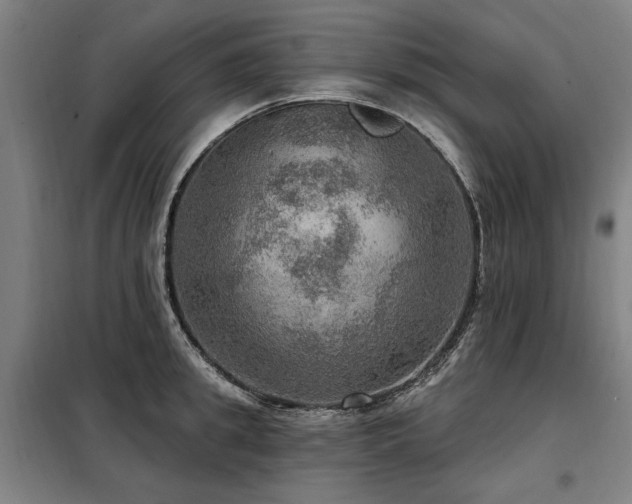 X0000098070949200804041122