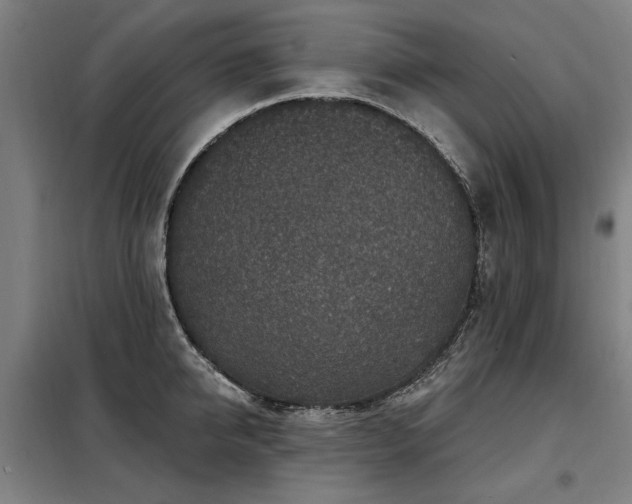 X0000098070950200804041122