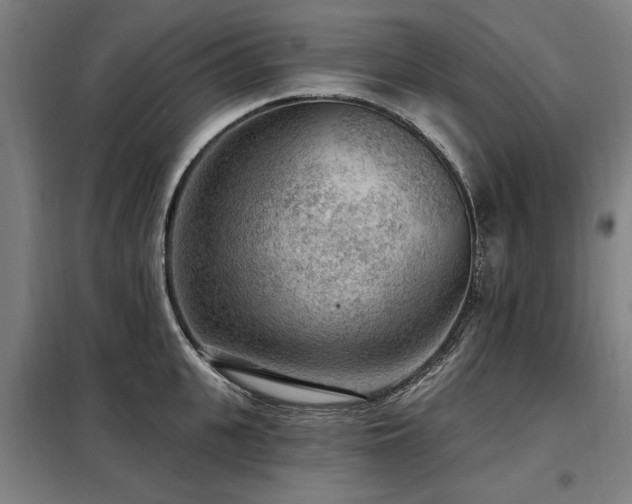 X0000098070951200804041122