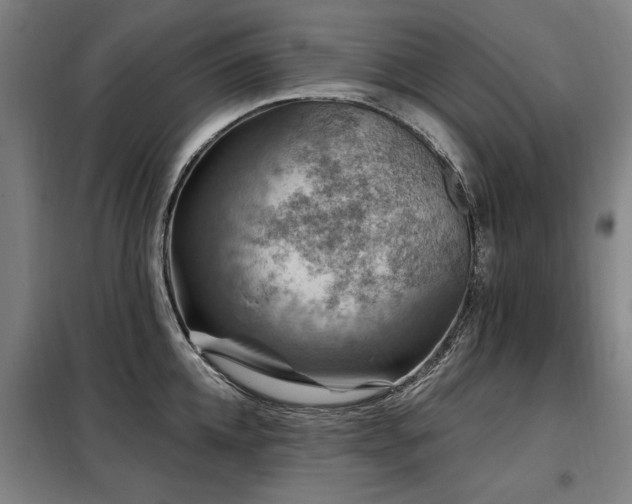 X0000098070952200804041122