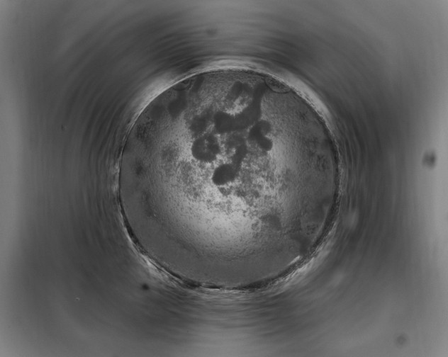 X0000098070953200804041122