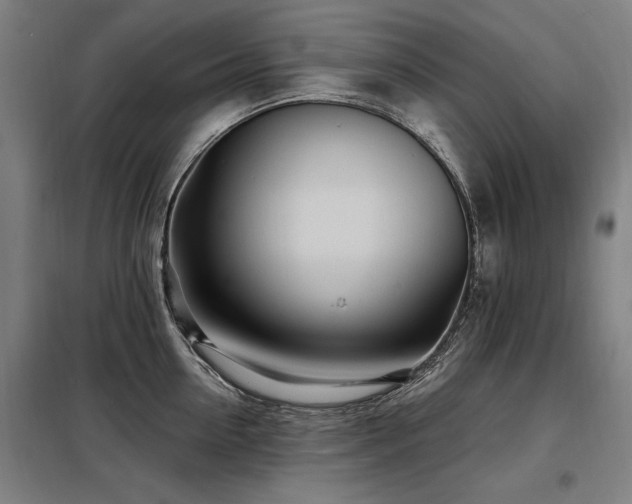 X0000098070954200804041122