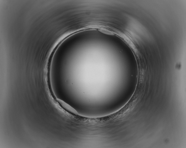 X0000098070955200804041122