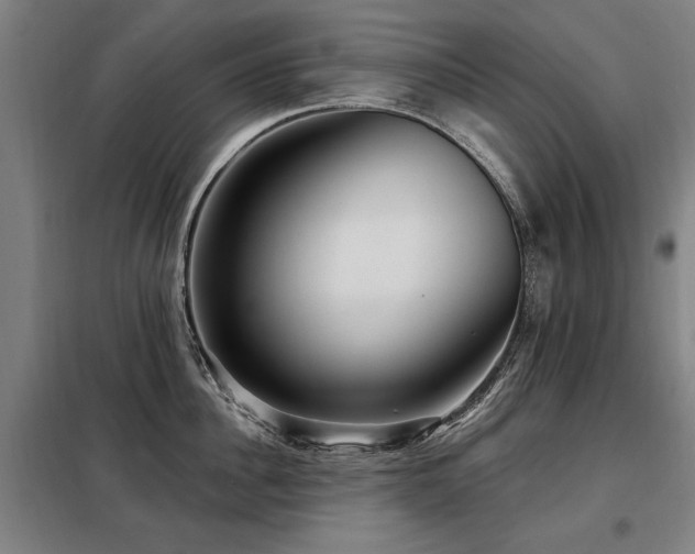 X0000098070956200804041122