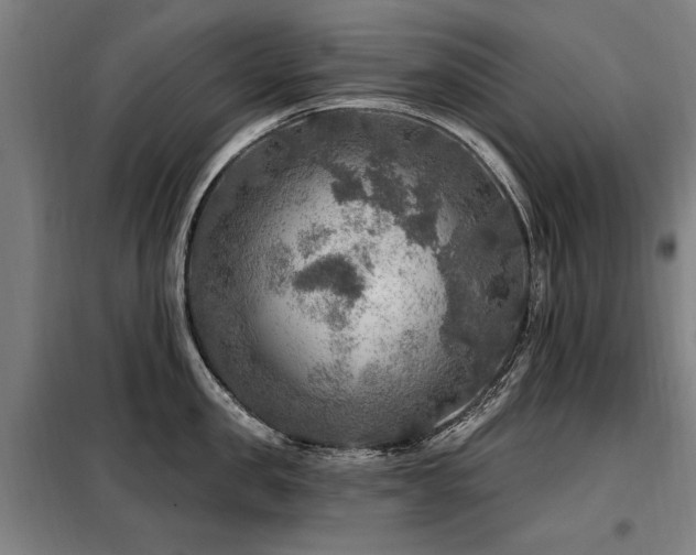 X0000098070957200804041122