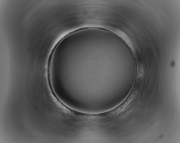 X0000098070958200804041122