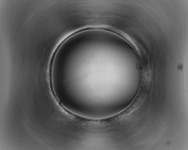 X0000098070959200804041122