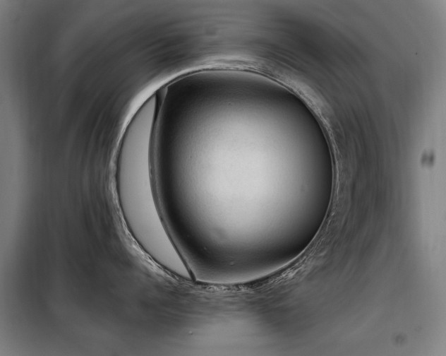 X0000098070960200804041122