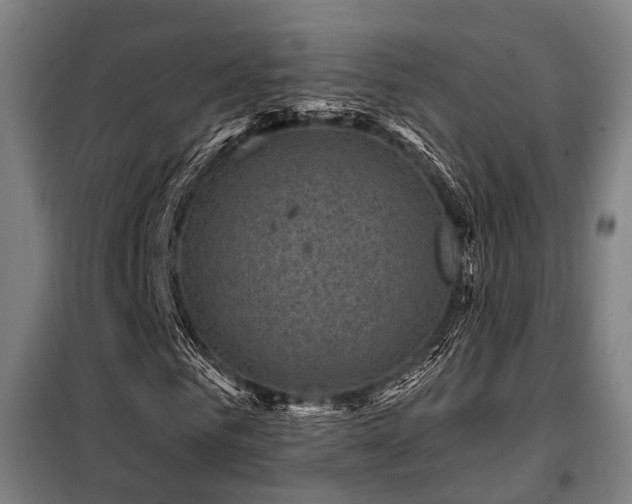 X0000098070961200804041121