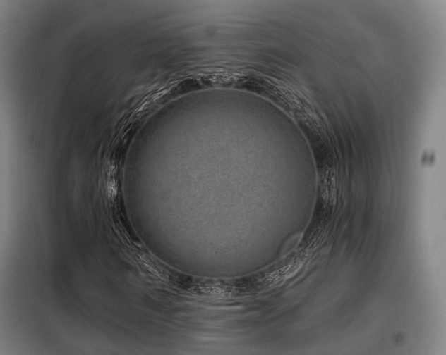 X0000098070962200804041121