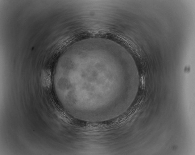 X0000098070963200804041121